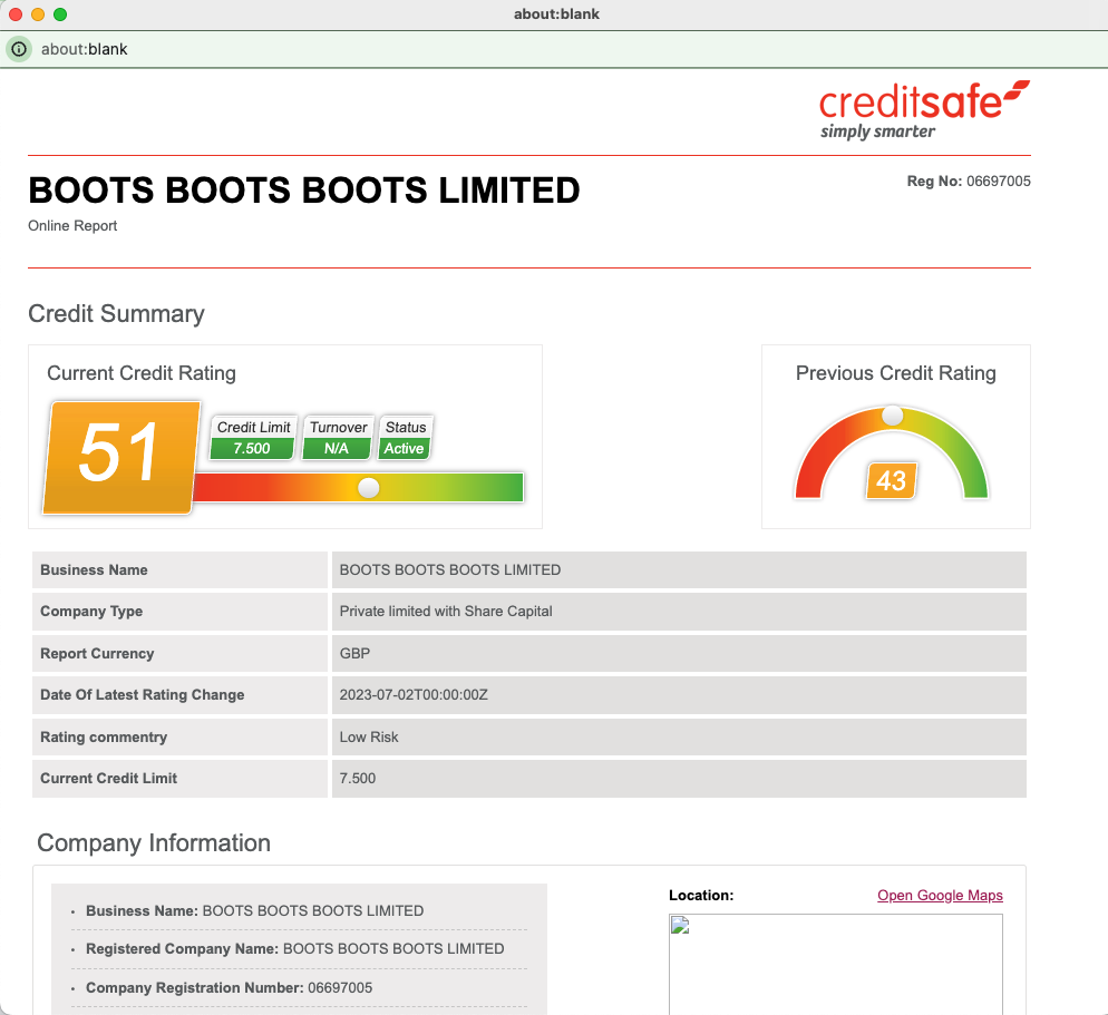 Creditsafe report.png